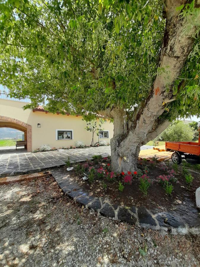 B&B Tenuta San Michele Capaccio Exterior foto