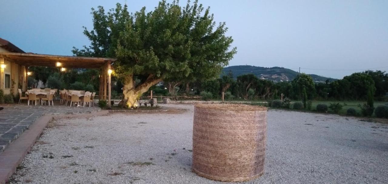 B&B Tenuta San Michele Capaccio Exterior foto